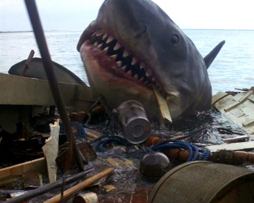 This is an image of Photograph & Poster of Jaws 298569