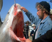This is an image of Photograph & Poster of Jaws 298577