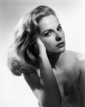 This is an image of Photograph & Poster of Martha Hyer 103107