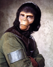 This is an image of Photograph & Poster of Planet of the Apes (tv) 298509