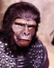 This is an image of Photograph & Poster of Planet of the Apes (tv) 298518
