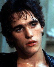 This is an image of Prints & Posters of Matt Dillon 298672