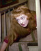 This is an image of Prints & Posters of Bette Davis 298759