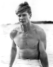 This is an image of Prints & Posters of Jan-Michael Vincent 103238