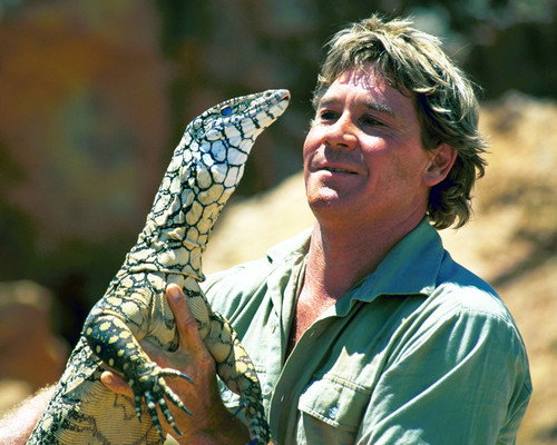 This is an image of Prints & Posters of Steve Irwin 298808