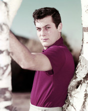 This is an image of Prints & Posters of Tony Curtis 298844