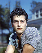 This is an image of Prints & Posters of Tony Curtis 298921