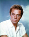 This is an image of Prints & Posters of Richard Burton 298938