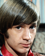 This is an image of Prints & Posters of Peter Tork 298953