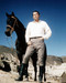 This is an image of Prints & Posters of Gregory Peck 299015