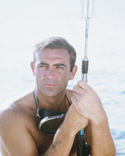 This is an image of Prints & Posters of Sean Connery 299071