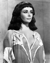 This is an image of Prints & Posters of Elizabeth Taylor 103397