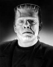 This is an image of Prints & Posters of House of Frankenstein 103456