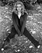 This is an image of Prints & Posters of Ann-Margret 103449