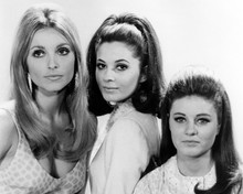 This is an image of Prints & Posters of Valley of the Dolls 103406