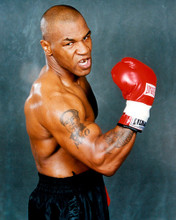 This is an image of Prints & Posters of Mike Tyson 299157