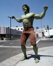 This is an image of Prints & Posters of Lou Ferrigno 299266