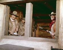 This is an image of Prints & Posters of Rio Lobo 299298