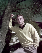 This is an image of Prints & Posters of Tab Hunter 299299