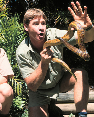 This is an image of Prints & Posters of Steve Irwin 299348