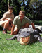 This is an image of Prints & Posters of Steve Irwin 299384