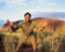 This is an image of Prints & Posters of Steve Irwin 299385