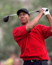 This is an image of Prints & Posters of Tiger Woods 299393