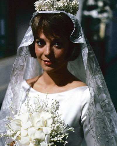 This is an image of Prints & Posters of Natalie Wood 299334