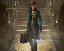 This is an image of Prints & Posters of Eddie Redmayne 299516