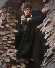 This is an image of Prints & Posters of Eddie Redmayne 299566