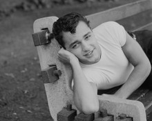 This is an image of Prints & Posters of Sal Mineo 103722