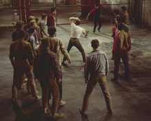 This is an image of Prints & Posters of West Side Story 299699