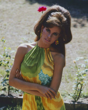 This is an image of Prints & Posters of Raquel Welch 299719