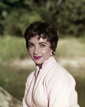 This is an image of Prints & Posters of Elizabeth Taylor 299630