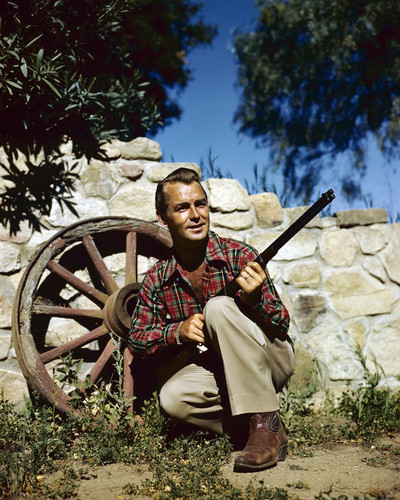 This is an image of Prints & Posters of Alan Ladd 299634