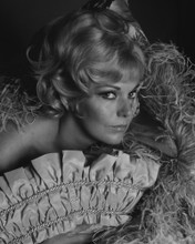 This is an image of Prints & Posters of Kim Novak 103681