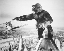 This is an image of Prints & Posters of King Kong 103716