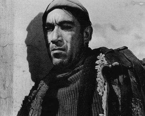 This is an image of Prints & Posters of Anthony Quinn 103823