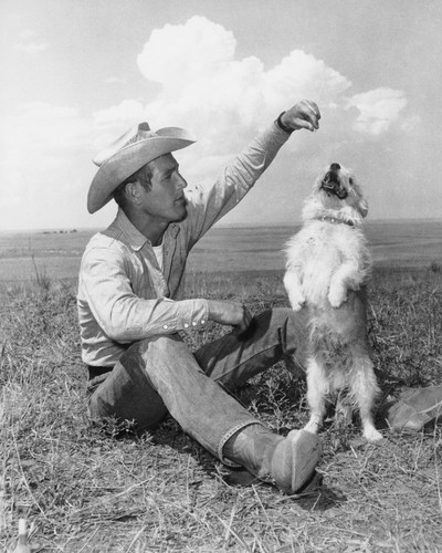 This is an image of Prints & Posters of Paul Newman 103851