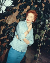 This is an image of Prints & Posters of Deborah Kerr 201035