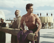This is an image of Prints & Posters of Steve Reeves 201120