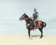 This is an image of Prints & Posters of Steve Reeves 201121