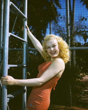This is an image of Prints & Posters of June Haver 201074