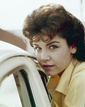 This is an image of Prints & Posters of Annette Funicello 201014