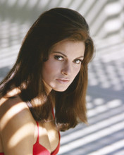 This is an image of Prints & Posters of Raquel Welch 299961