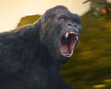 This is an image of Prints & Posters of Kong: Skull Island 201313