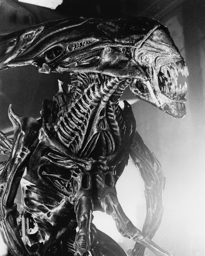 This is an image of Prints & Posters of Alien 104012