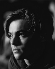 This is an image of Prints & Posters of Leonardo Di Caprio 104063