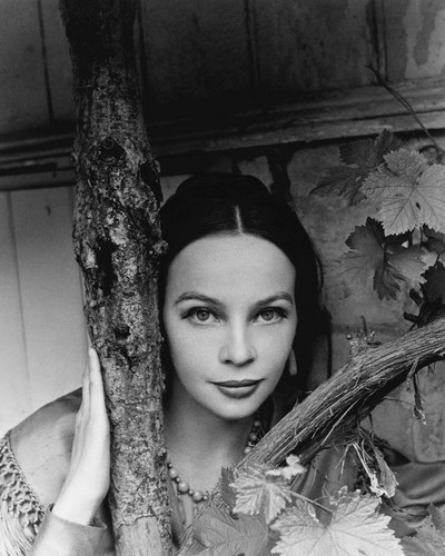 This is an image of Prints & Posters of Leslie Caron 104070