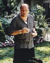 This is an image of Prints & Posters of James Gandolfini 201365